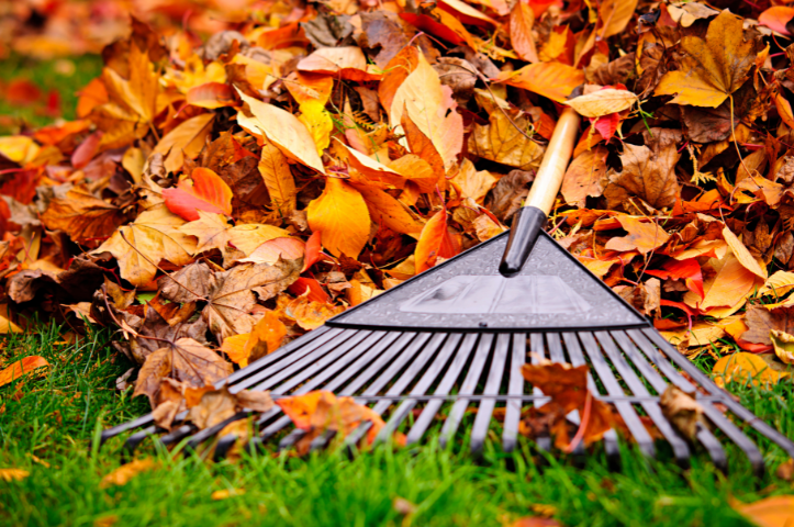 Automne : 7 choses à faire dans son jardin