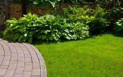 7 solutions pour mon allée de jardin dans la Somme