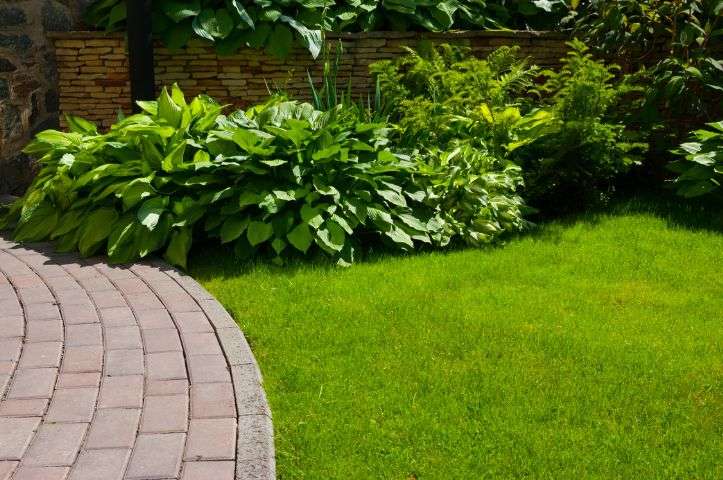 7 solutions pour mon allée de jardin dans la Somme