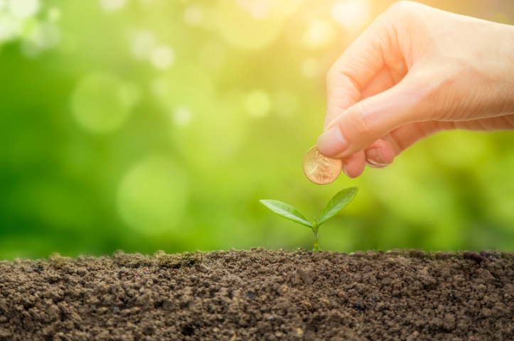 Travaux de jardinage : comment bénéficier du crédit d&rsquo;impôt