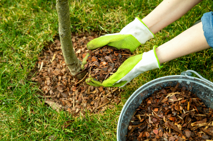 3 conseils pour faire son paillis soi-même