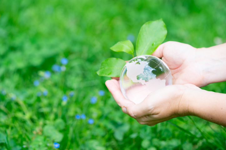 Notre top 5 des matériaux les plus écologiques