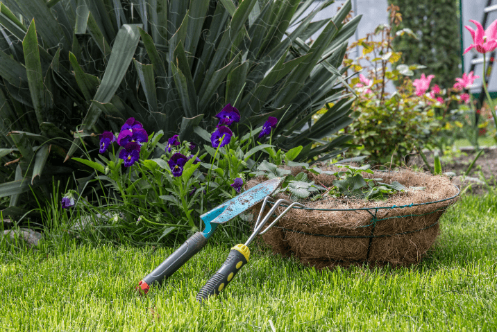 Printemps : 7 choses à faire dans son jardin