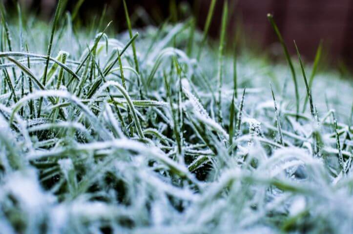 Tous les conseils pour préparer sa pelouse avant l’hiver