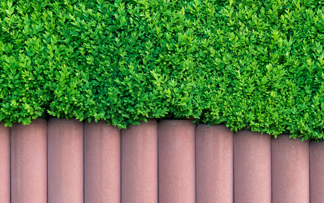 3 valeurs sûres pour sécuriser son jardin