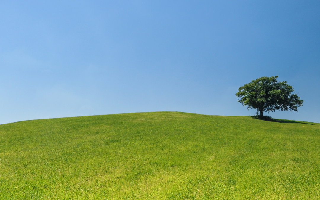 Quelles solutions pour un jardin en pente ?