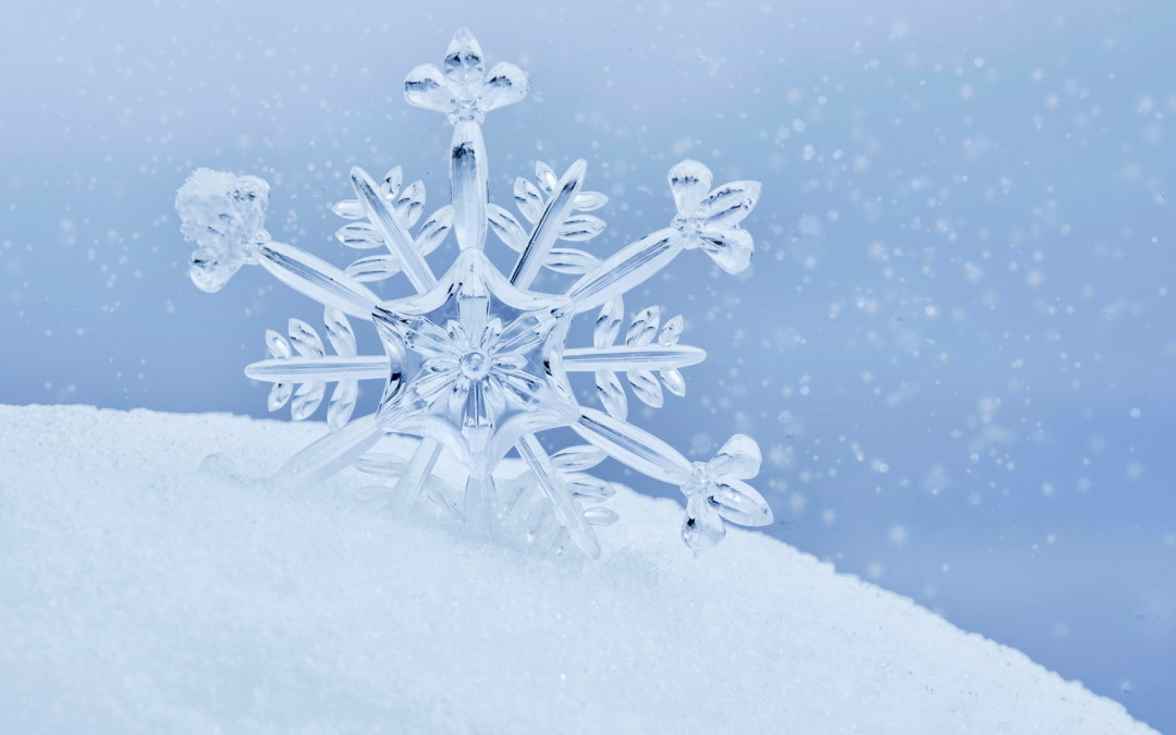 Pergola bioclimatique : que faire en cas de neige ?